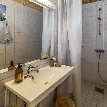 Kopararova By Interhome * 萨利色尔卡